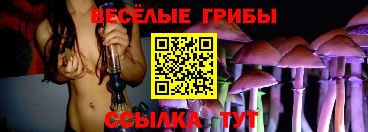 Псилоцибиновые грибы Cubensis Лянтор